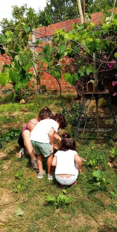 Solárium Posada Socorro Exteriér fotografie